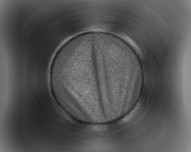 X0000092041240200710031019