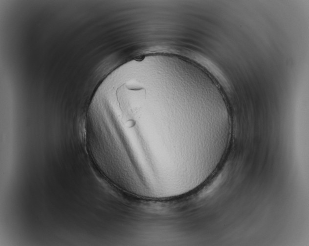 X0000092041241200710031019