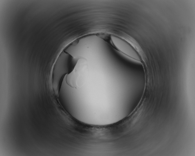 X0000092041242200710031019