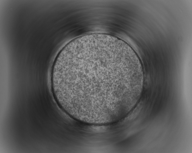 X0000092041243200710031019