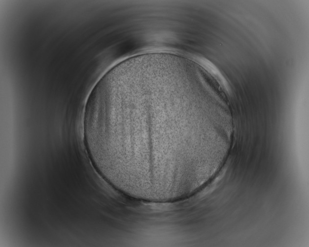 X0000092041244200710031019