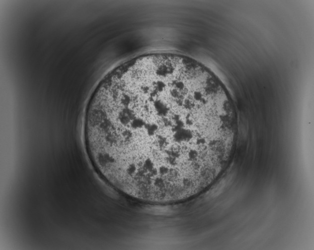 X0000092041245200710031019