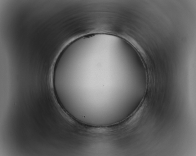 X0000092041246200710031019