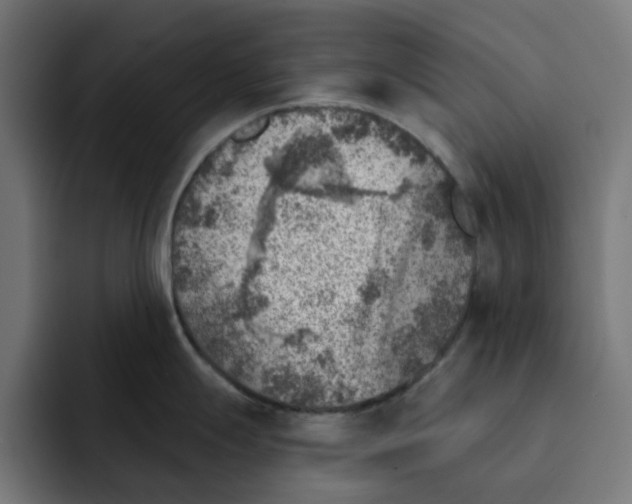 X0000092041247200710031019