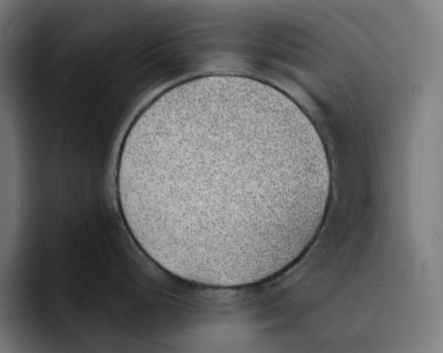 X0000092041248200710031019