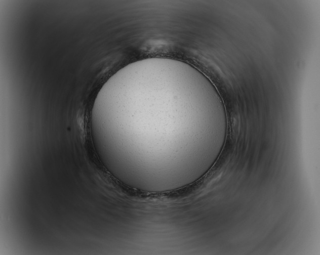 X0000092041250200710031018