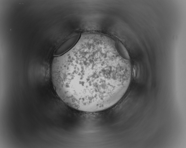 X0000092041251200710031018