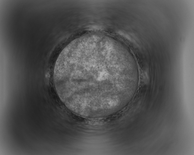 X0000092041254200710031018