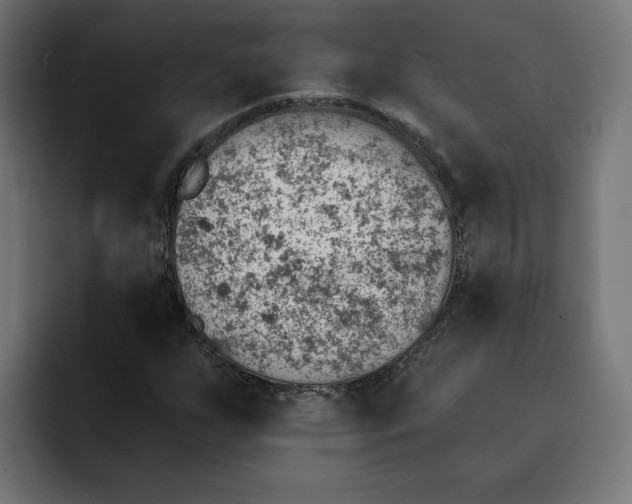 X0000092041255200710031018