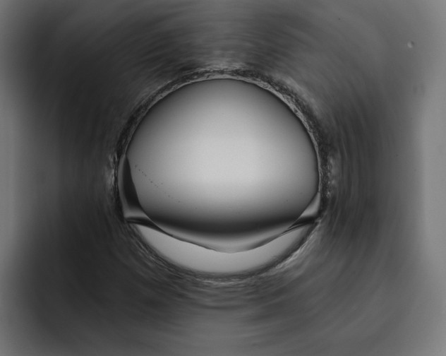 X0000092041257200710031018