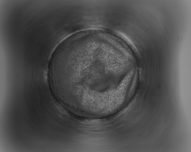 X0000092041260200710031018