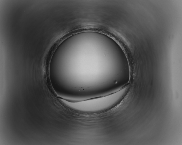 X0000092041261200710031018