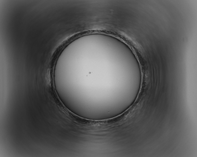 X0000092041262200710031018