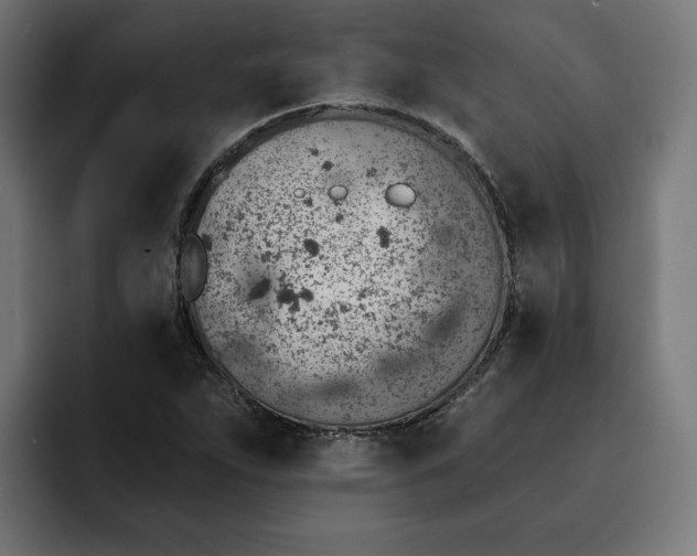 X0000092041263200710031018