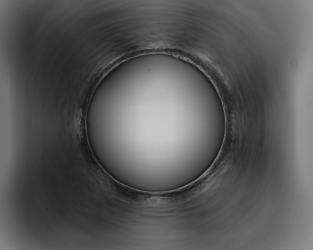 X0000092041265200710031018