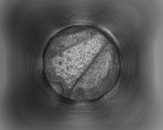 X0000092041267200710031018