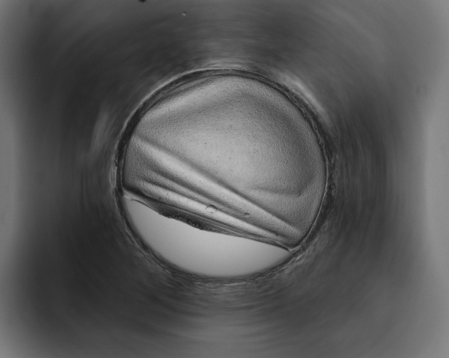 X0000092041268200710031018