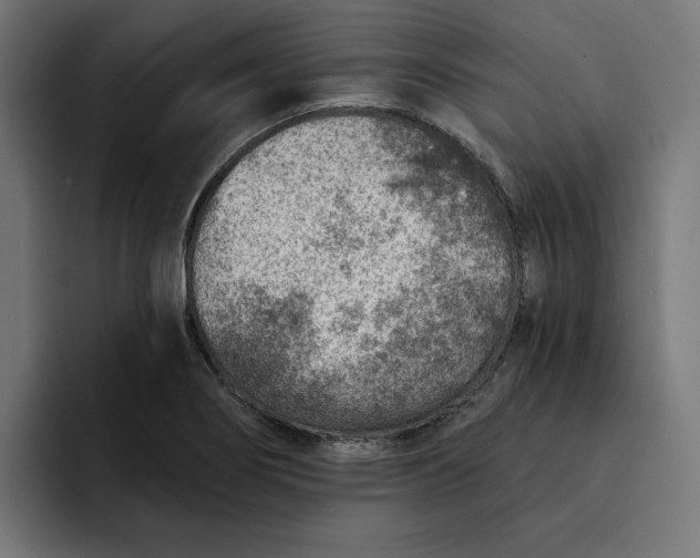 X0000092041274200710031018