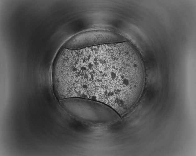 X0000092041275200710031018