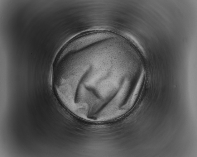 X0000092041276200710031018