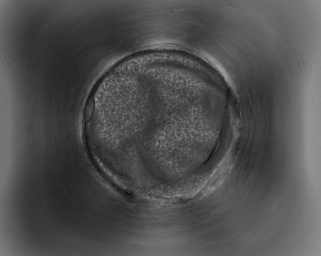 X0000092041277200710031018