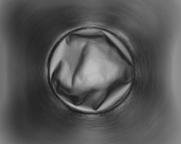 X0000092041280200710031018