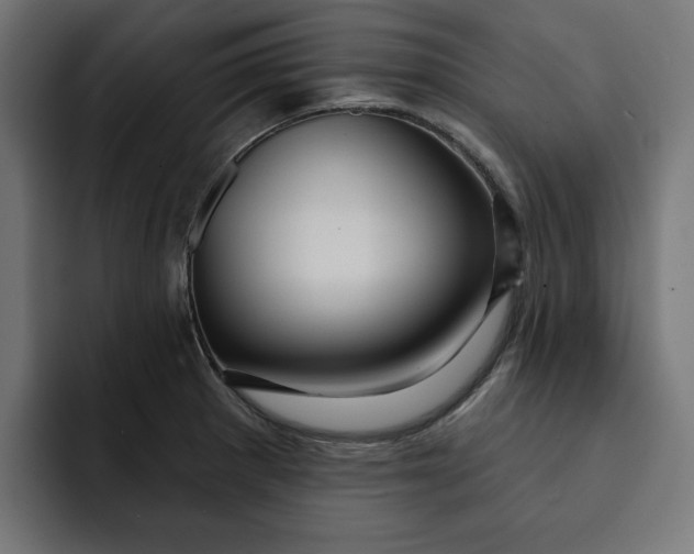 X0000092041281200710031018