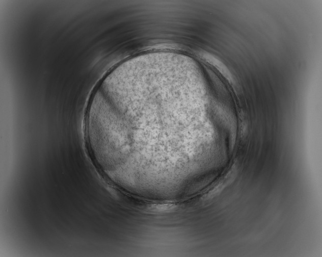 X0000092041282200710031018