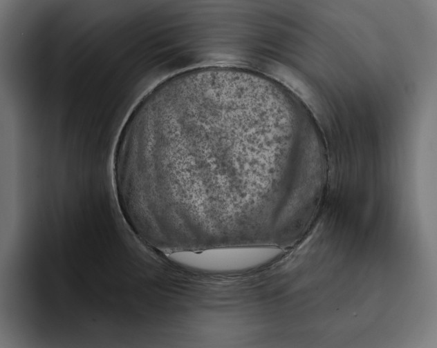 X0000092041283200710031018