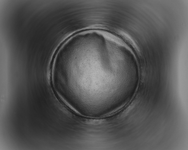 X0000092041284200710031018