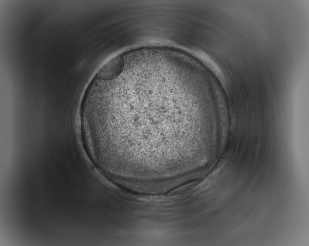 X0000092041287200710031018