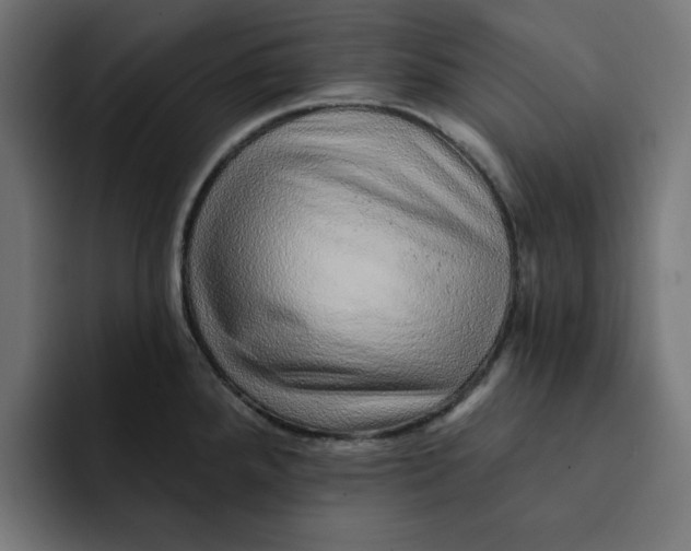 X0000092041288200710031018