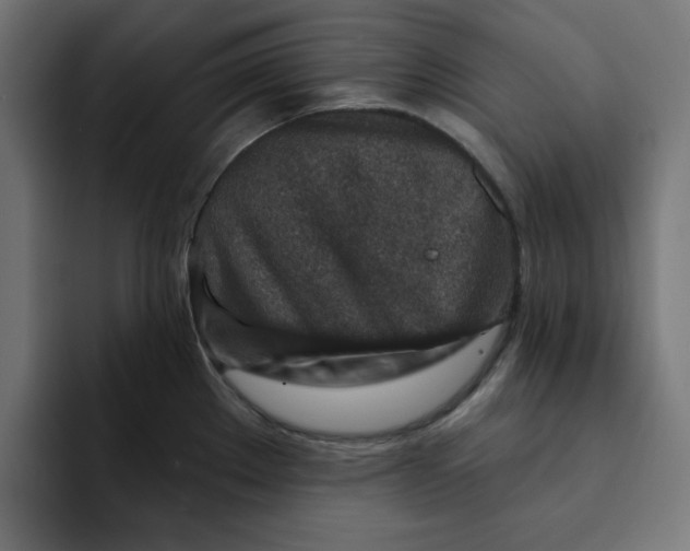 X0000092041289200710031018