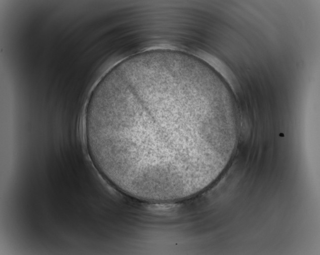 X0000092041290200710031018