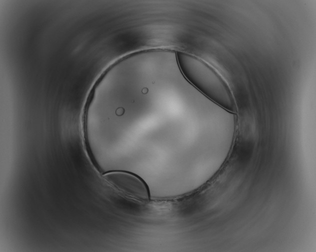 X0000092041291200710031018