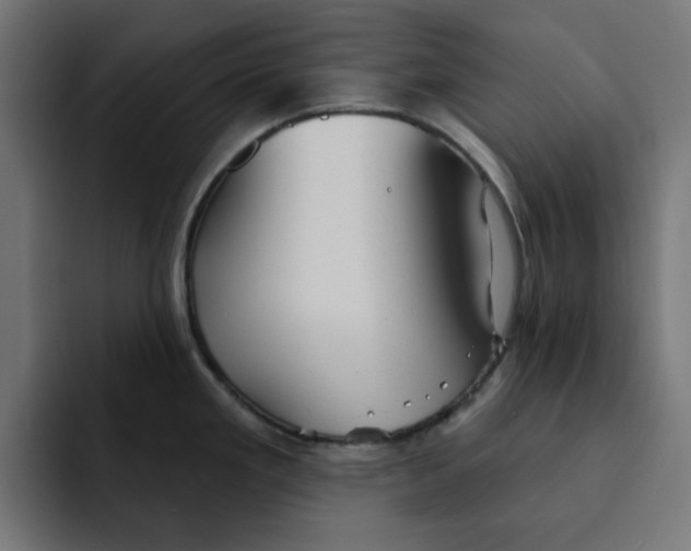 X0000092041293200710031018