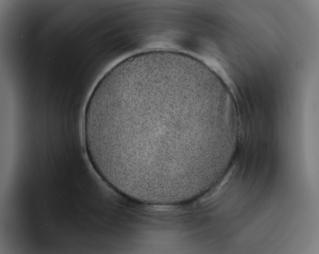 X0000092041295200710031018