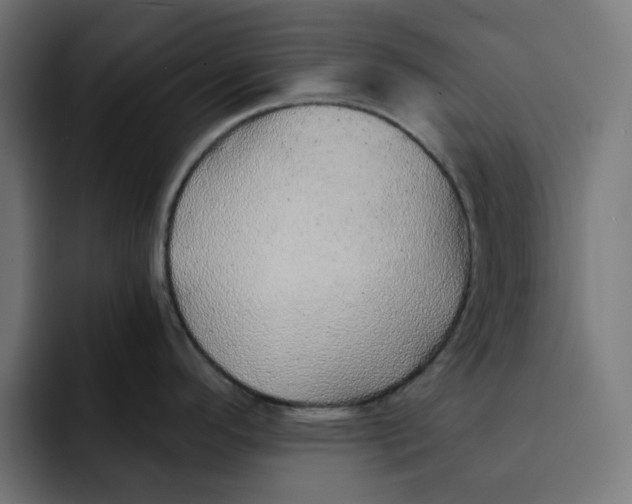 X0000092041296200710031018