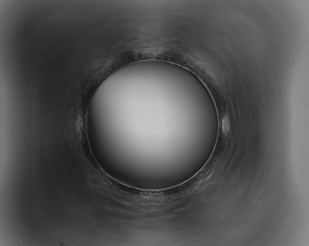 X0000092041299200710031017