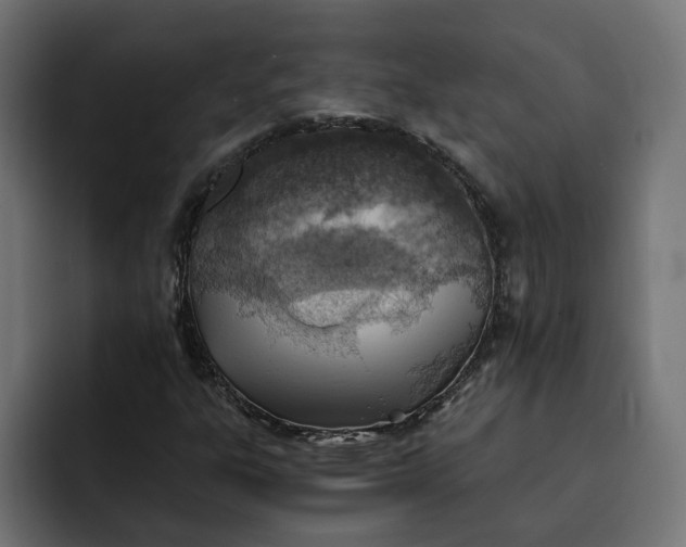 X0000092041303200710031017