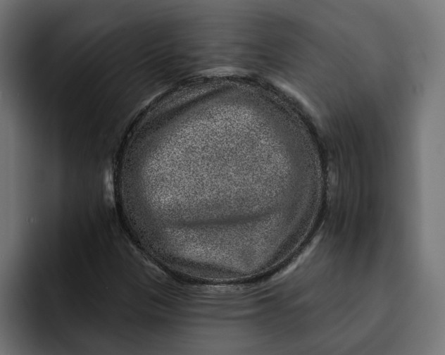 X0000092041305200710031017