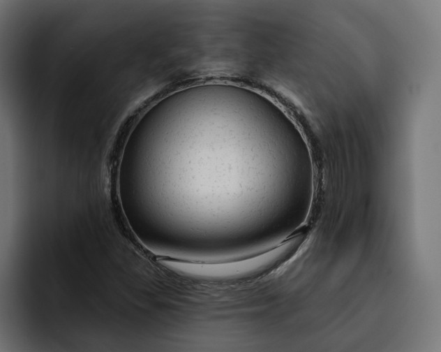 X0000092041309200710031017