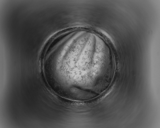 X0000092041310200710031017