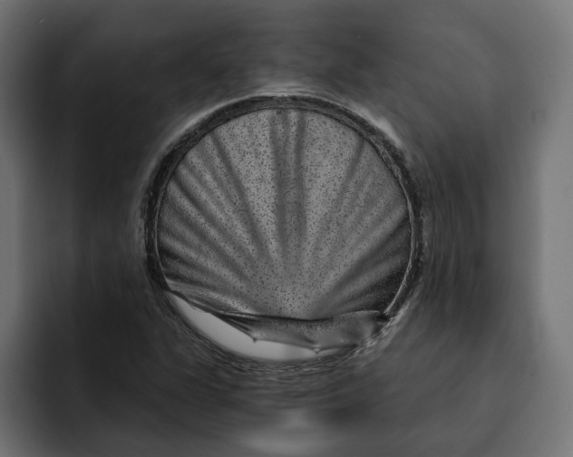 X0000092041311200710031017