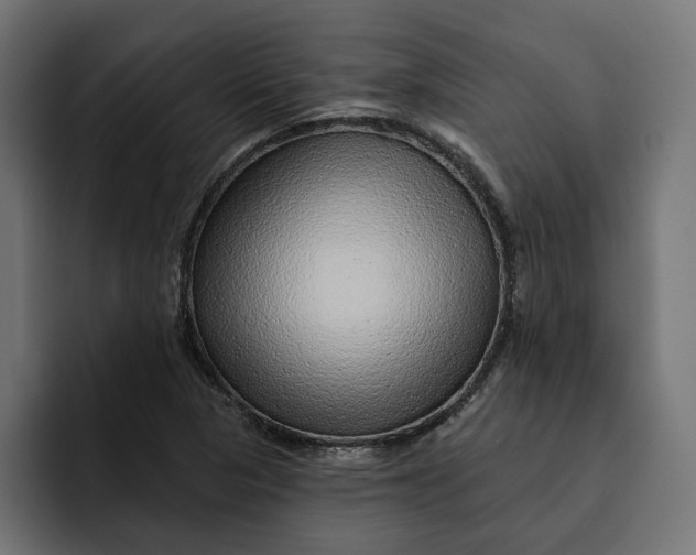 X0000092041313200710031017