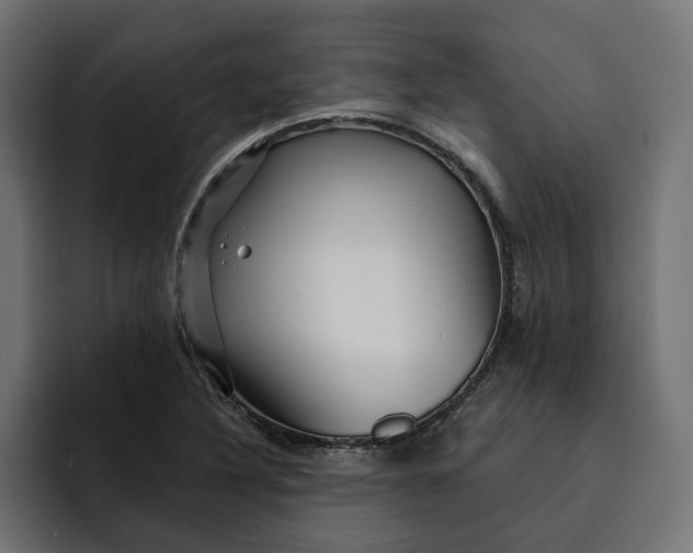 X0000092041316200710031017