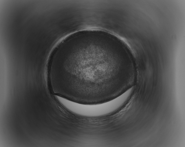 X0000092041319200710031017