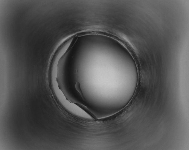 X0000092041320200710031017