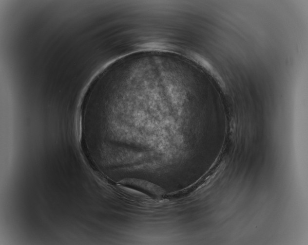 X0000092041323200710031017