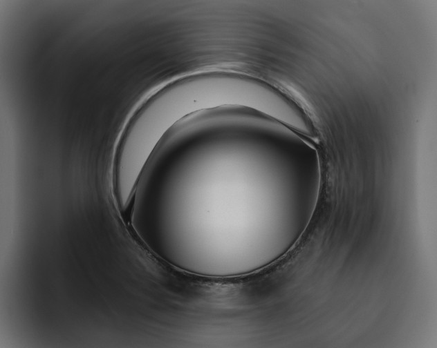 X0000092041324200710031017